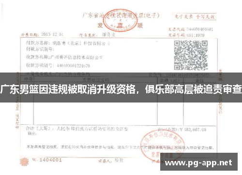 广东男篮因违规被取消升级资格，俱乐部高层被追责审查